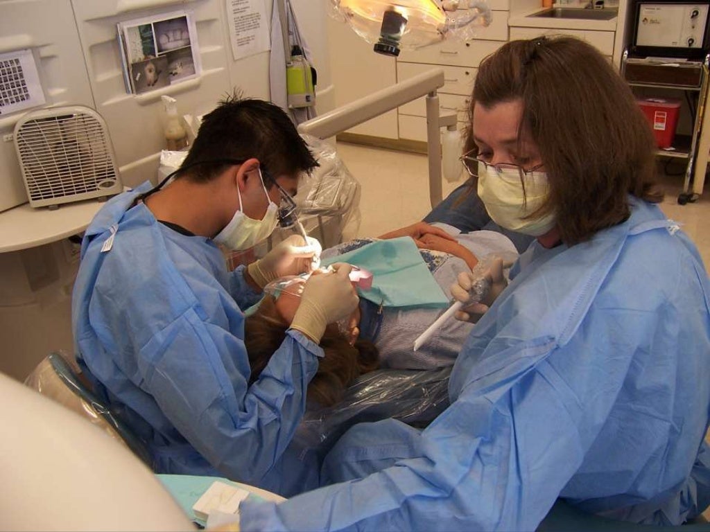 Baylor Dental School Information