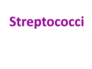 Streptococci

 