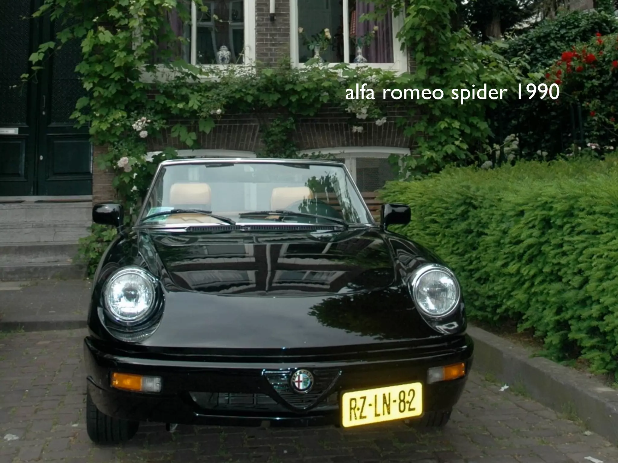 alfa romeo spider 1990
 