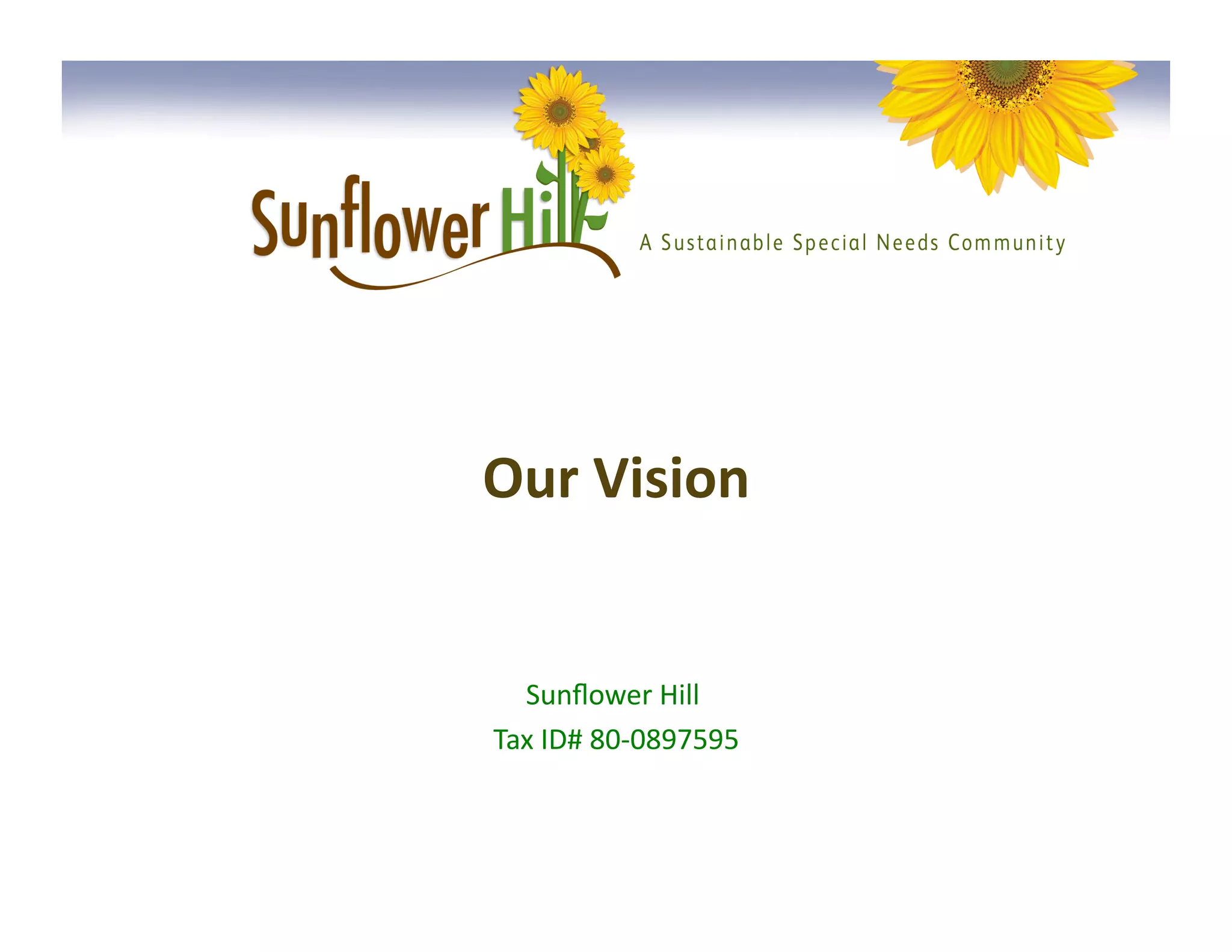 2013 sunflower vision PPT
