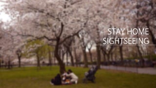 STAY HOME
SIGHTSEEING
 