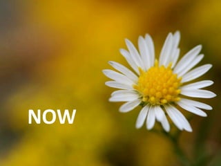NOW
 