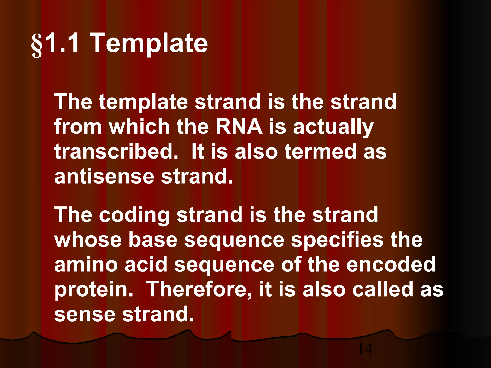 14
§1.1 Template
The template strand is the strand
from which the RNA is actually
transcribed. It is also termed as
antisense strand.
The coding strand is the strand
whose base sequence specifies the
amino acid sequence of the encoded
protein. Therefore, it is also called as
sense strand.
 