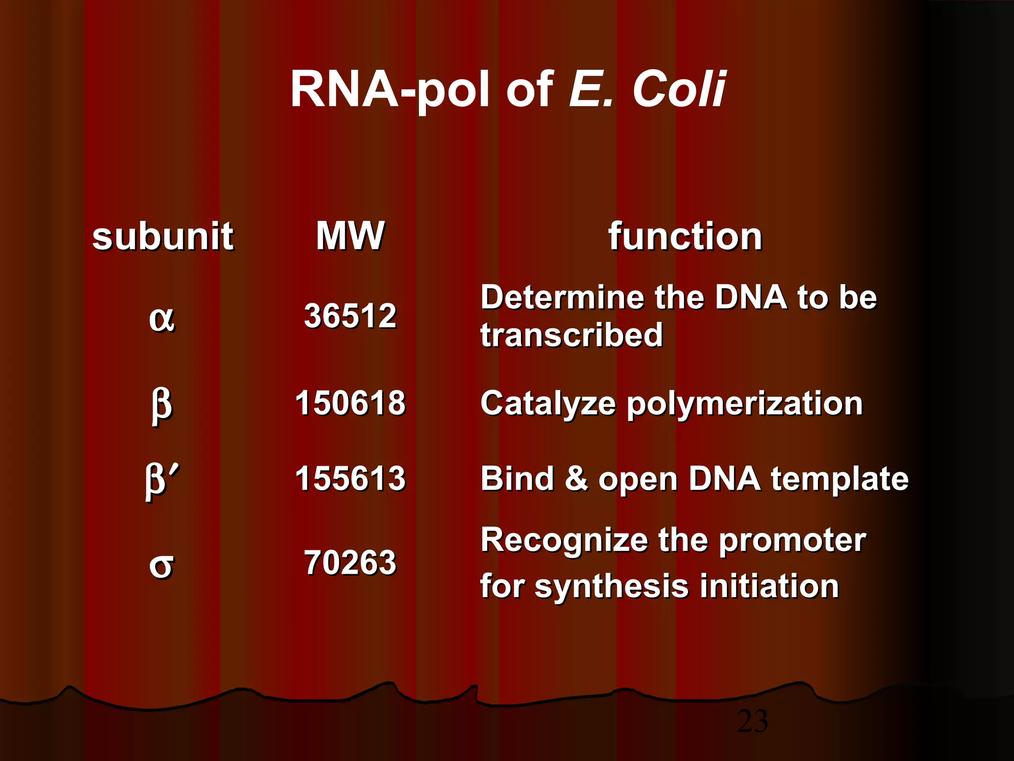 23
subunitsubunit MWMW functionfunction
αα 3651236512
Determine the DNA to beDetermine the DNA to be
transcribedtranscribed
ββ 150618150618 Catalyze polymerizationCatalyze polymerization
β′β′ 155613155613 Bind & open DNA templateBind & open DNA template
σσ 7026370263
Recognize the promoterRecognize the promoter
for synthesis initiationfor synthesis initiation
RNA-pol of E. Coli
 