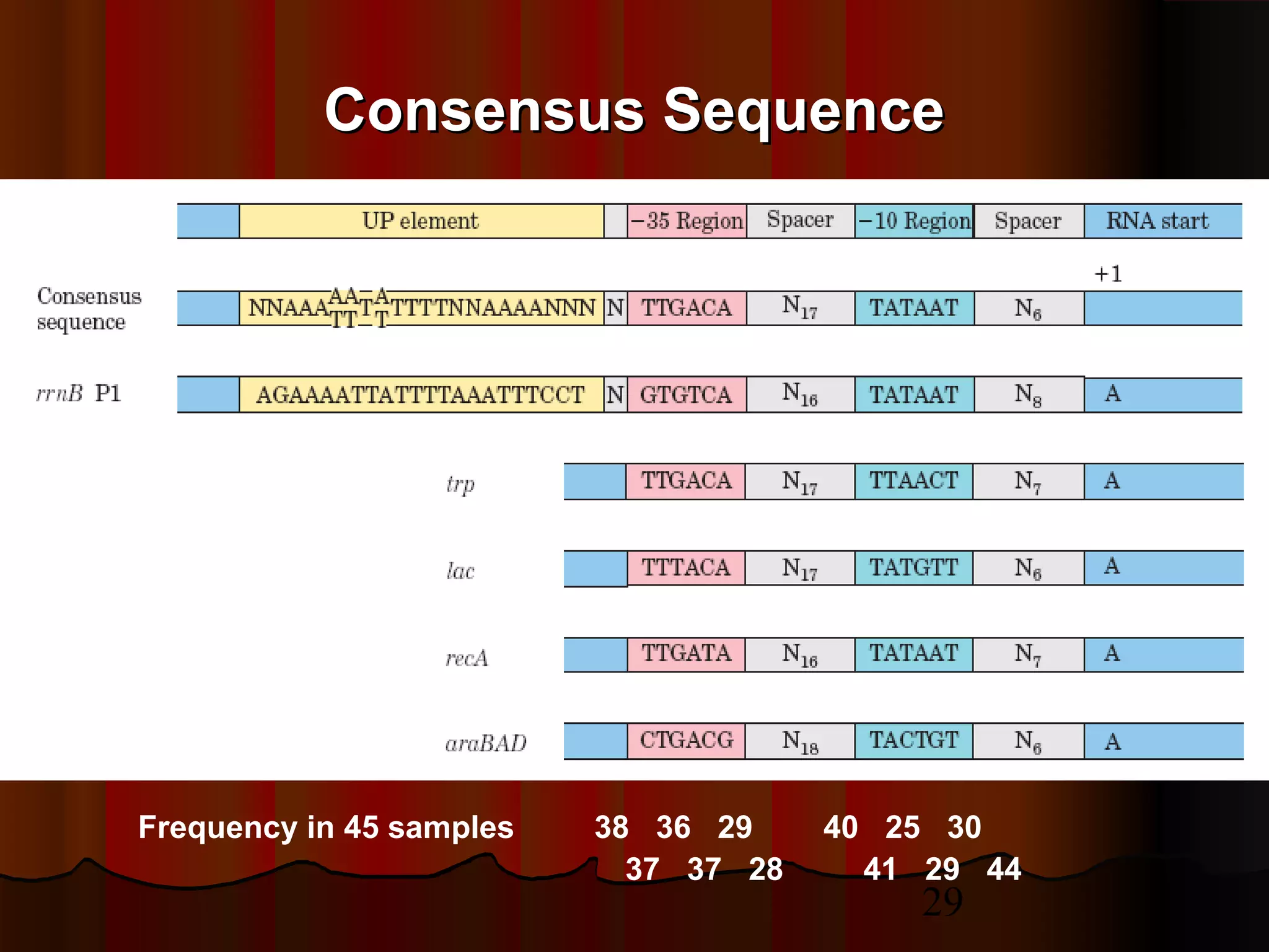 29
Consensus SequenceConsensus Sequence
Frequency in 45 samples 38 36 29 40 25 30
37 37 28 41 29 44
 