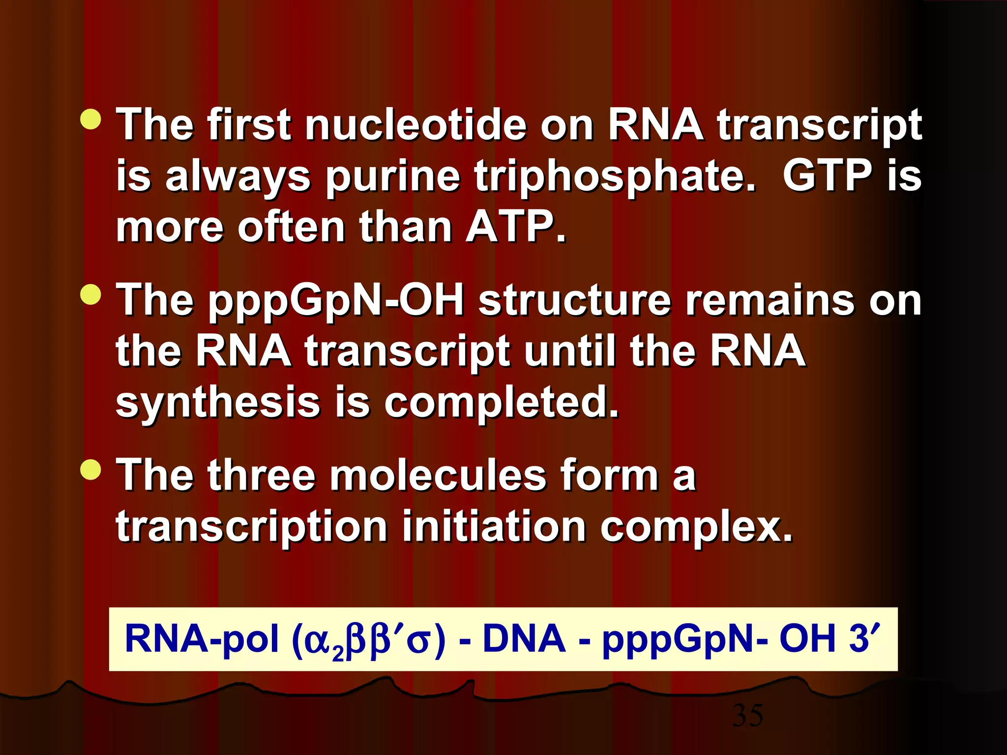35
The first nucleotide on RNA transcriptThe first nucleotide on RNA transcript
is always purine triphosphate. GTP isis always purine triphosphate. GTP is
more often than ATP.more often than ATP.
The pppGpN-OH structure remains onThe pppGpN-OH structure remains on
the RNA transcript until the RNAthe RNA transcript until the RNA
synthesis is completed.synthesis is completed.
The three molecules form aThe three molecules form a
transcription initiation complex.transcription initiation complex.
RNA-pol (α2ββ′σ) - DNA - pppGpN- OH 3′
 