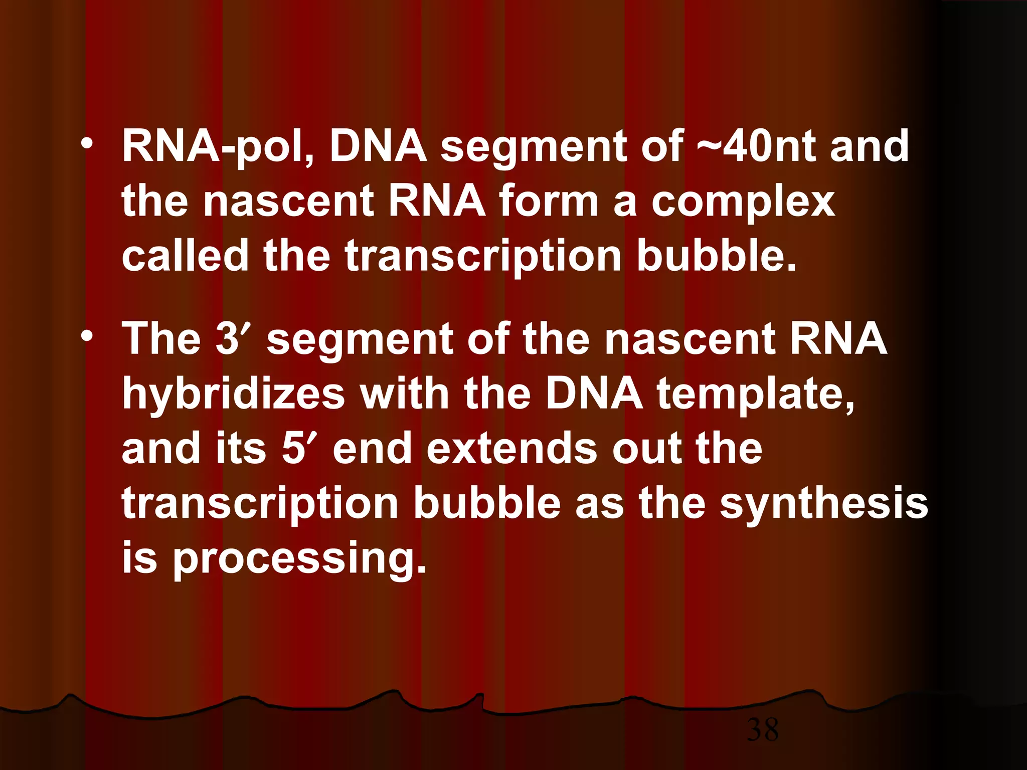 38
• RNA-pol, DNA segment of ~40nt and
the nascent RNA form a complex
called the transcription bubble.
• The 3′ segment of the nascent RNA
hybridizes with the DNA template,
and its 5′ end extends out the
transcription bubble as the synthesis
is processing.
 