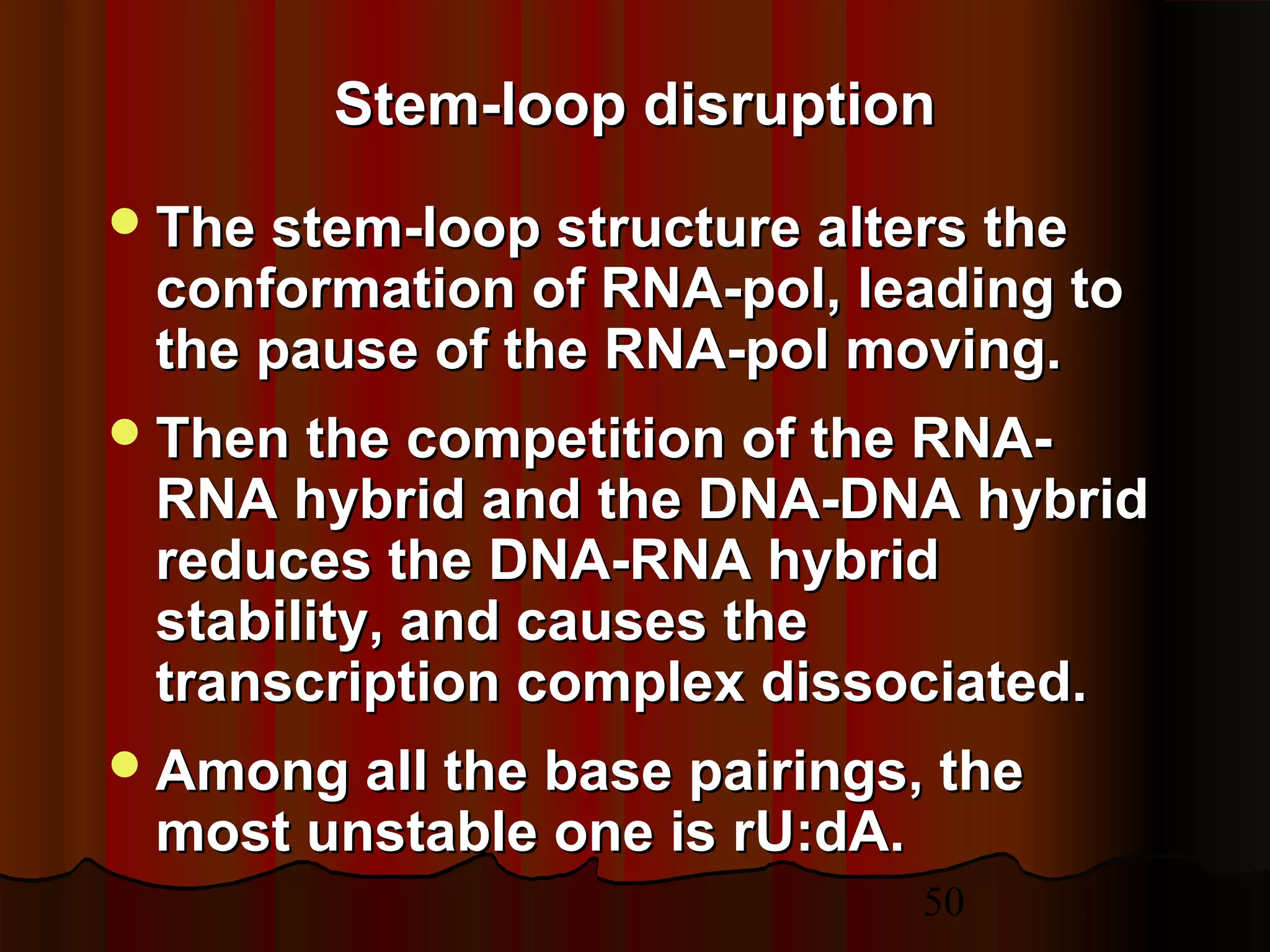 50
The stem-loop structure alters theThe stem-loop structure alters the
conformation of RNA-pol, leading toconformation of RNA-pol, leading to
the pause of the RNA-pol moving.the pause of the RNA-pol moving.
Then the competition of the RNA-Then the competition of the RNA-
RNA hybrid and the DNA-DNA hybridRNA hybrid and the DNA-DNA hybrid
reduces the DNA-RNA hybridreduces the DNA-RNA hybrid
stability, and causes thestability, and causes the
transcription complex dissociated.transcription complex dissociated.
Among all the base pairings, theAmong all the base pairings, the
most unstable one is rU:dA.most unstable one is rU:dA.
Stem-loop disruptionStem-loop disruption
 