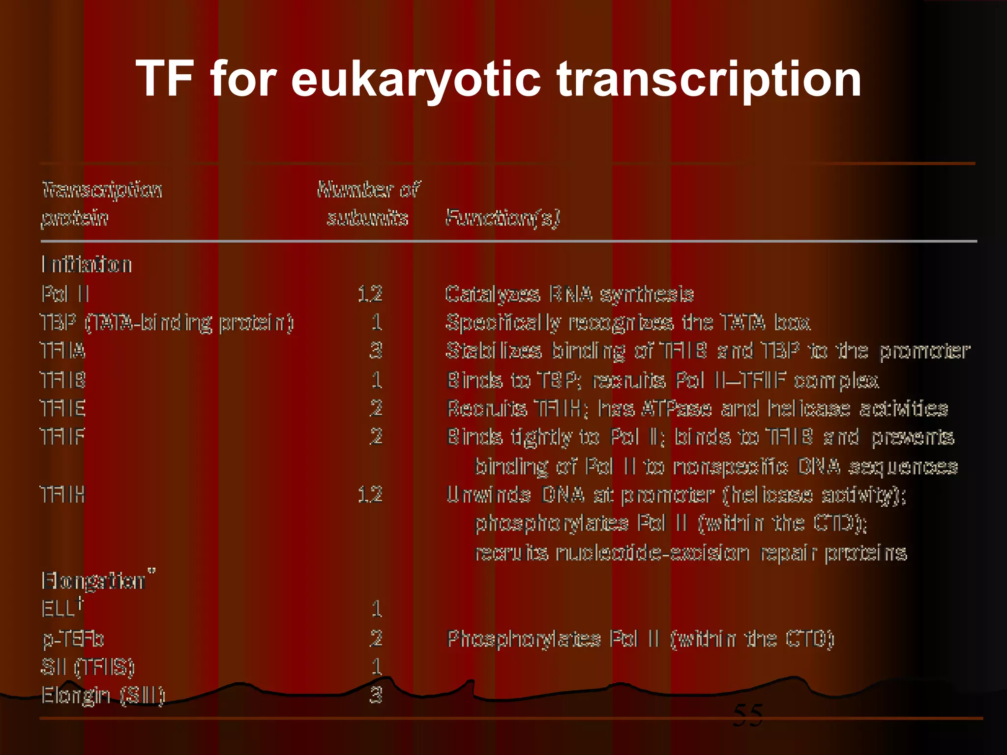 55
TF for eukaryotic transcription
 