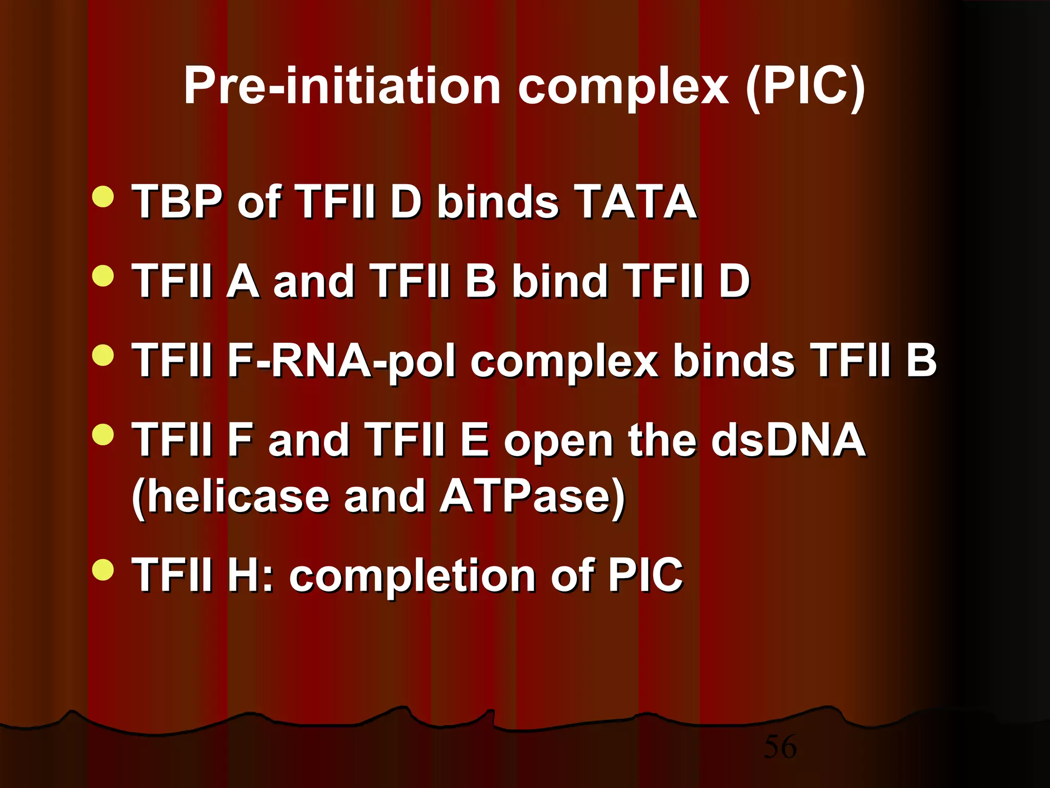 56
 TBP of TFII D binds TATATBP of TFII D binds TATA
 TFII A and TFII B bind TFII DTFII A and TFII B bind TFII D
 TFII F-RNA-pol complex binds TFII BTFII F-RNA-pol complex binds TFII B
 TFII F and TFII E open the dsDNATFII F and TFII E open the dsDNA
(helicase and ATPase)(helicase and ATPase)
 TFII H: completion of PICTFII H: completion of PIC
Pre-initiation complex (PIC)
 