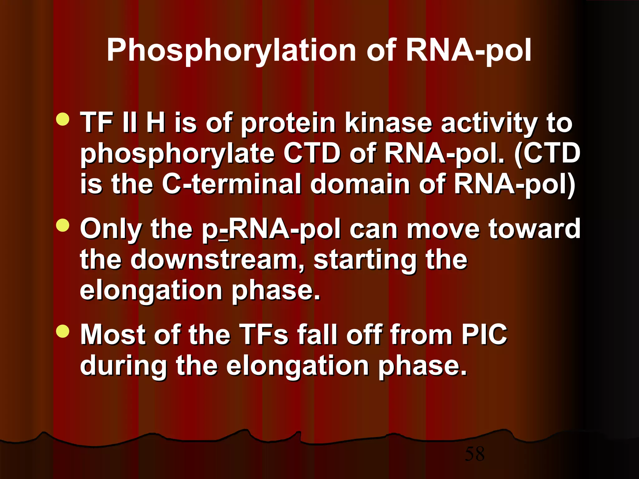 58
 TF II H is of protein kinase activity toTF II H is of protein kinase activity to
phosphorylate CTD of RNA-pol.phosphorylate CTD of RNA-pol. (CTD(CTD
is the C-terminal domain of RNA-pol)is the C-terminal domain of RNA-pol)
 Only theOnly the pp--RNA-pol can move towardRNA-pol can move toward
the downstream, starting thethe downstream, starting the
elongation phase.elongation phase.
 Most of the TFs fall off from PICMost of the TFs fall off from PIC
during the elongation phase.during the elongation phase.
Phosphorylation of RNA-pol
 