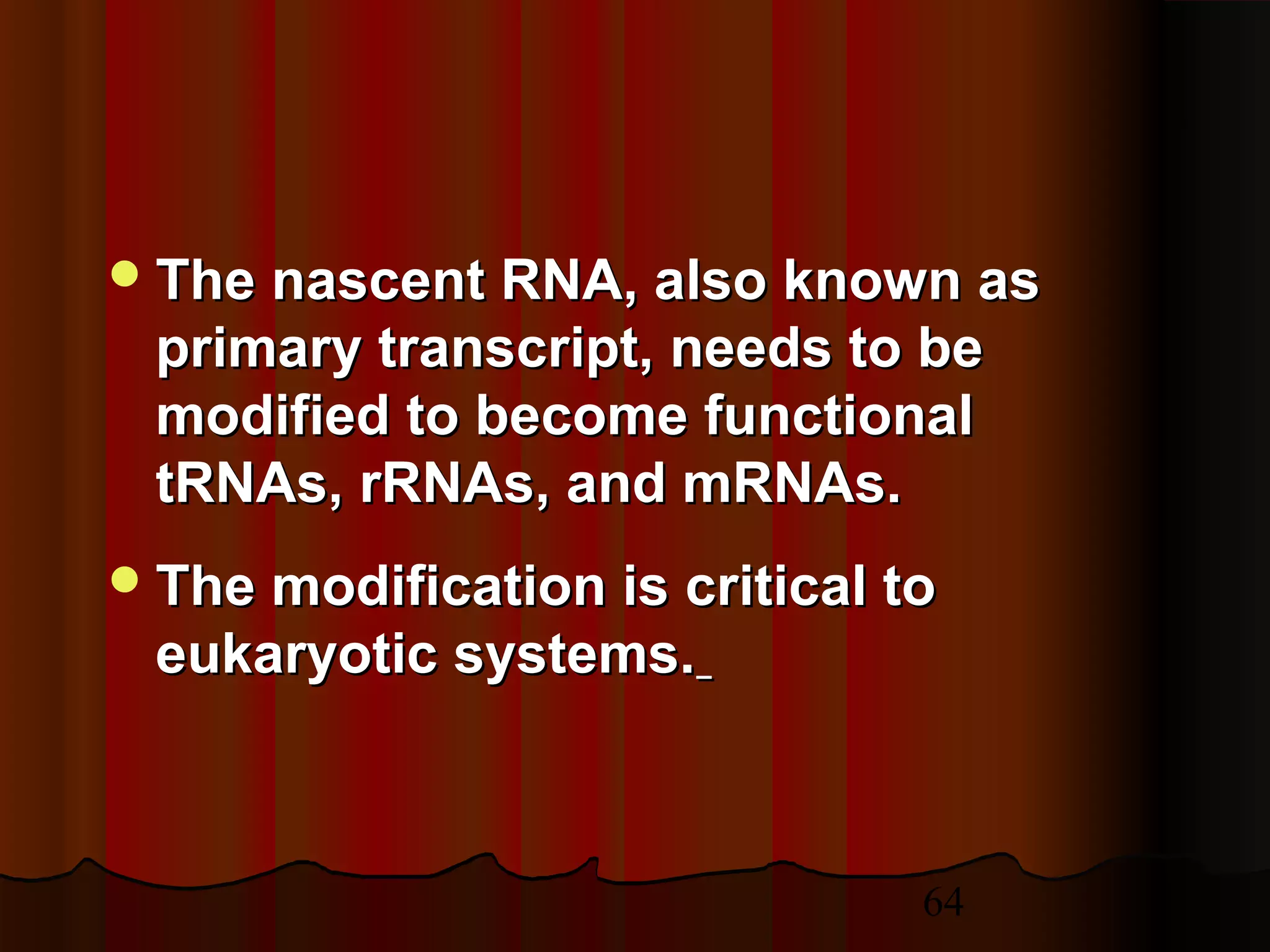 64
The nascent RNA, also known asThe nascent RNA, also known as
primary transcript, needs to beprimary transcript, needs to be
modified to become functionalmodified to become functional
tRNAs, rRNAs, and mRNAs.tRNAs, rRNAs, and mRNAs.
The modification is critical toThe modification is critical to
eukaryotic systems.eukaryotic systems.
 