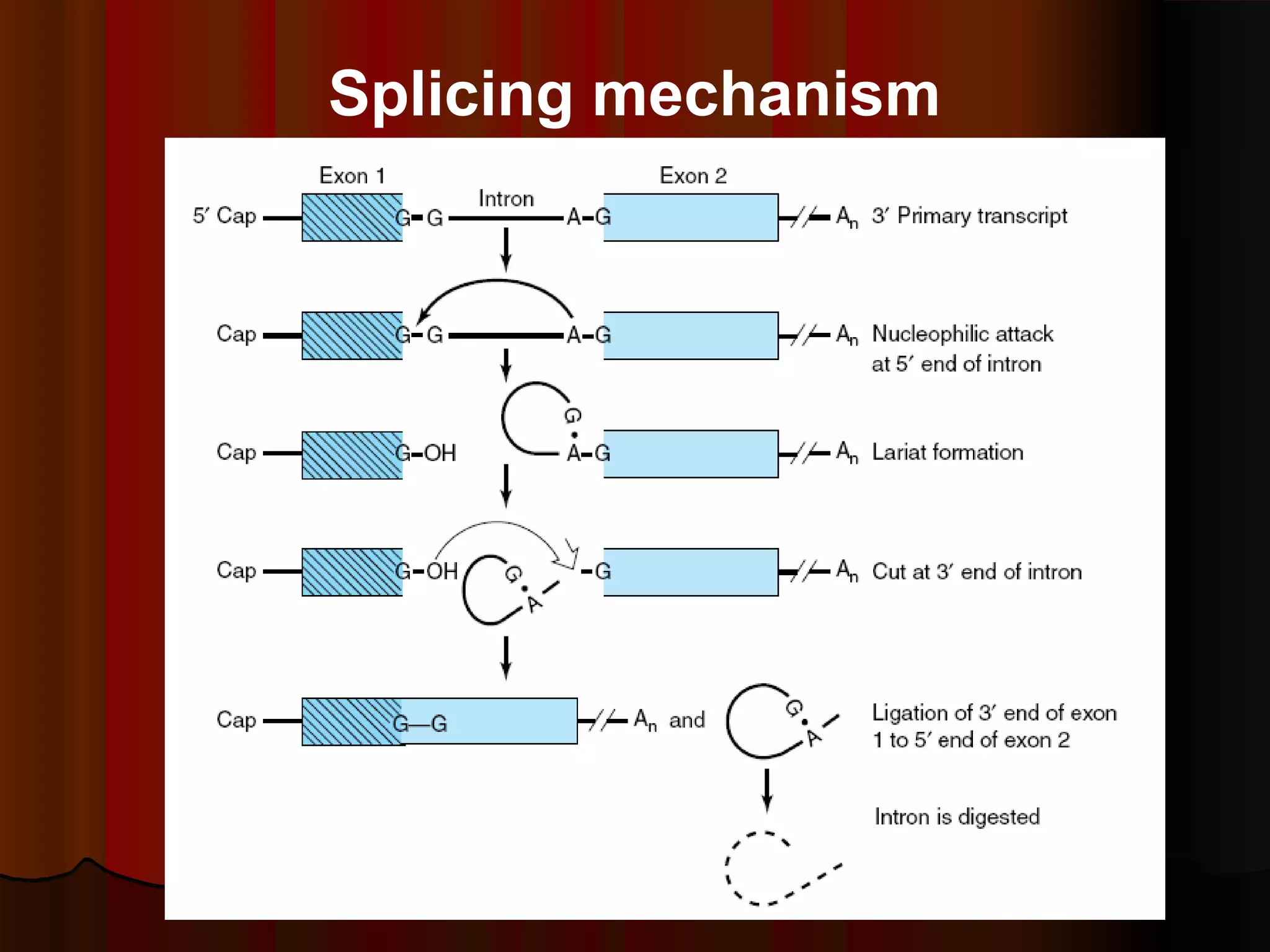 75
Splicing mechanism
 