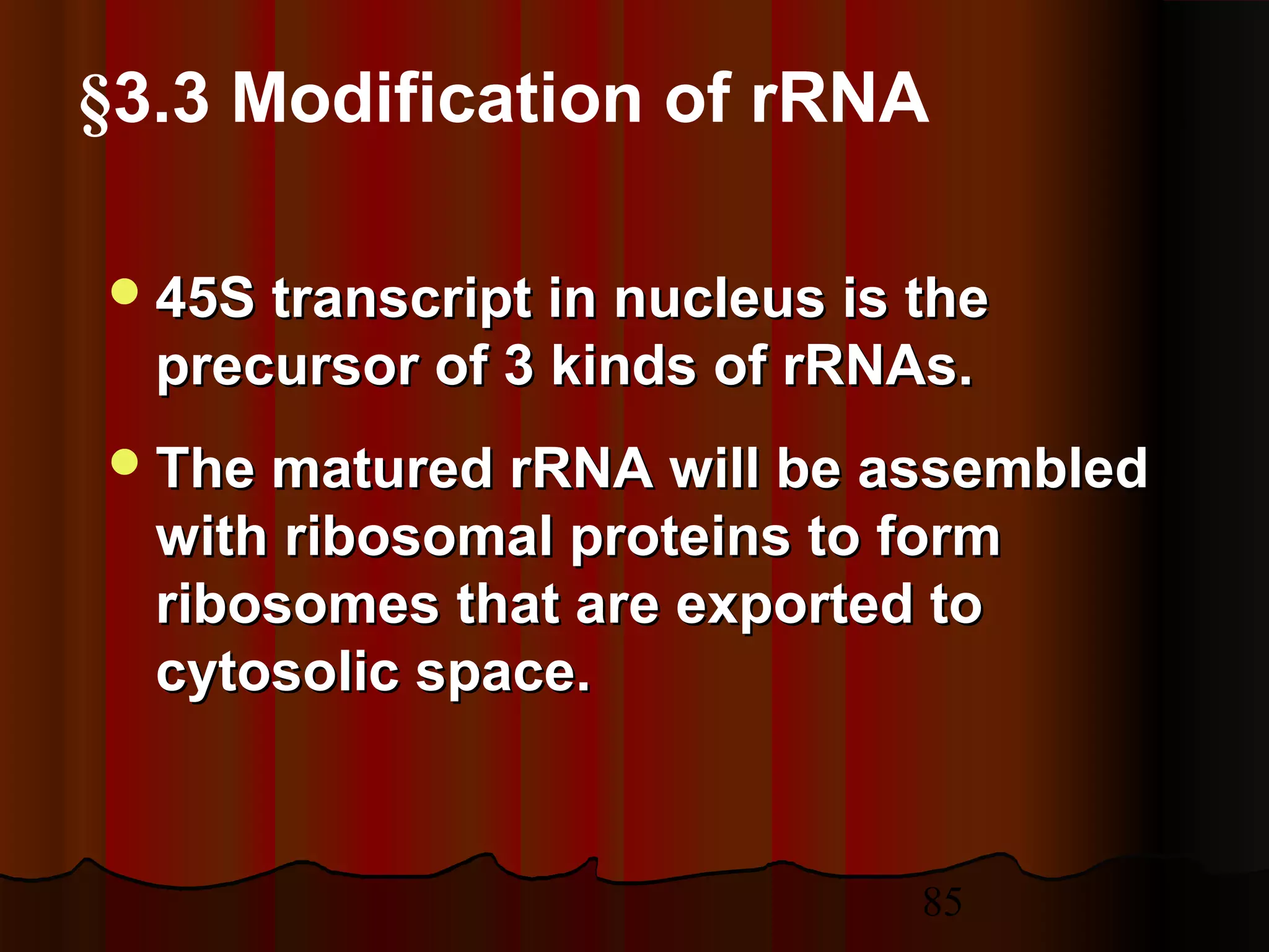 85
§3.3 Modification of rRNA
45S transcript in nucleus is the45S transcript in nucleus is the
precursor of 3 kinds of rRNAs.precursor of 3 kinds of rRNAs.
The matured rRNA will be assembledThe matured rRNA will be assembled
with ribosomal proteins to formwith ribosomal proteins to form
ribosomes that are exported toribosomes that are exported to
cytosolic space.cytosolic space.
 