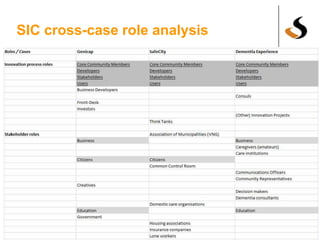 SIC cross-case role analysis
 