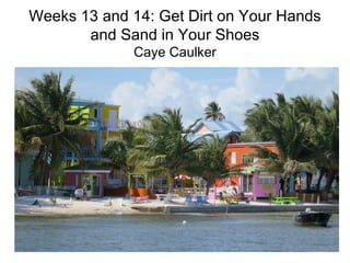 Weeks 13 and 14: Get Dirt on Your Hands
       and Sand in Your Shoes
              Caye Caulker
 