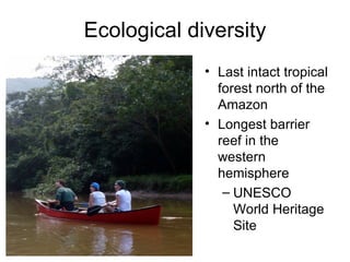 Ecological diversity
             • Last intact tropical
               forest north of the
               Amazon
             • Longest barrier
               reef in the
               western
               hemisphere
                – UNESCO
                  World Heritage
                  Site
 