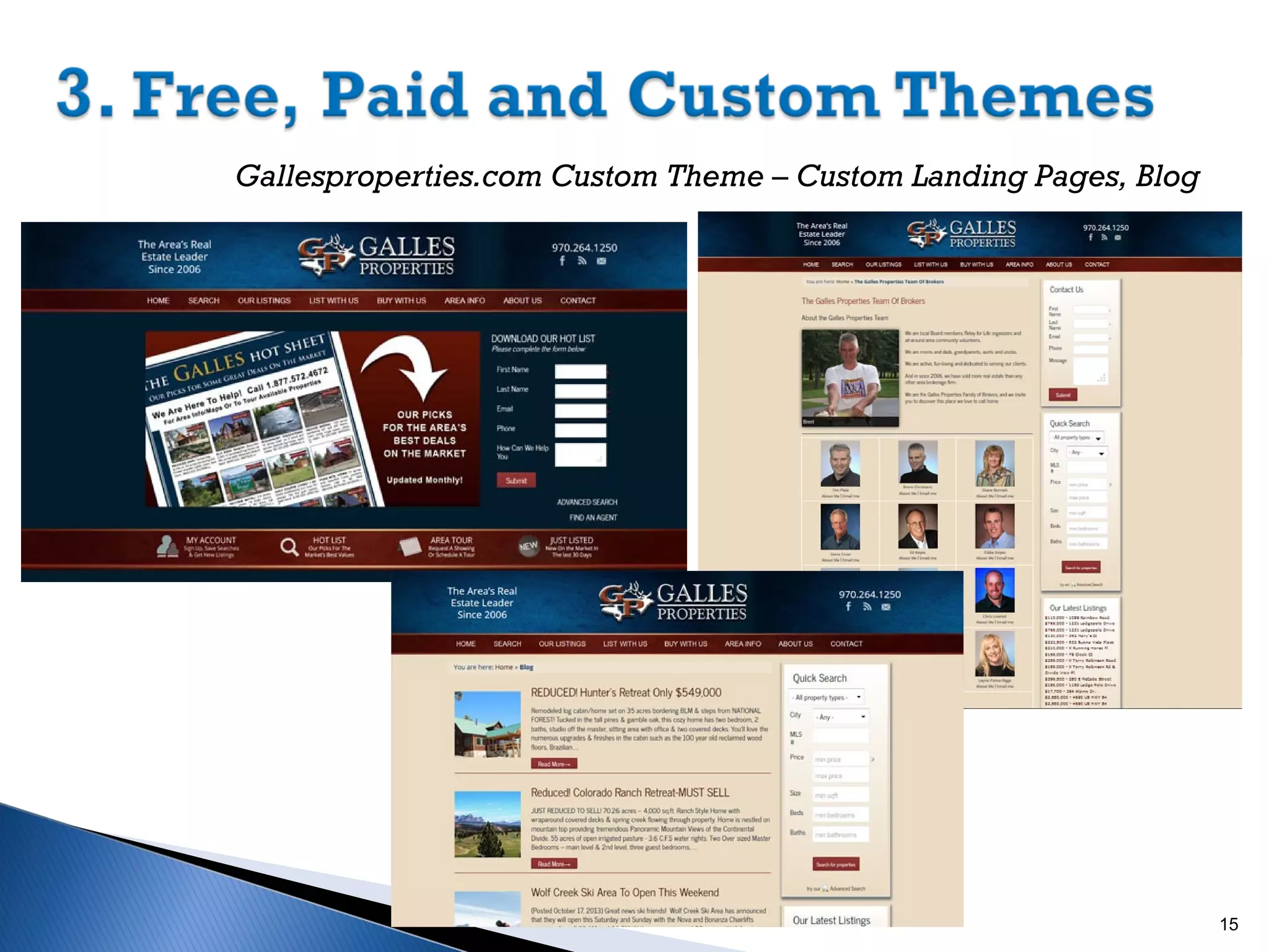 Gallesproperties.com Custom Theme – Custom Landing Pages, Blog

15

 