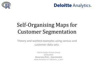 Self-Organising Maps for
Customer Segmentation
Theory and worked examples using census and
customer data sets.
Talk for Dublin R Users Group
20/01/2014
Shane Lynn Ph.D. – Data Scientist
www.shanelynn.ie / @shane_a_lynn

 