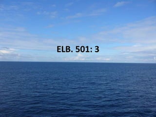 ELB. 501: 3

 