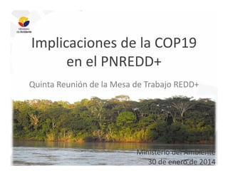 Implicaciones de la COP19
en el PNREDD+
Quinta Reunión de la Mesa de Trabajo REDD+

Ministerio del Ambiente
30 de enero de 2014

 