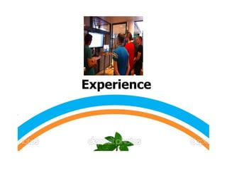 Experience

 