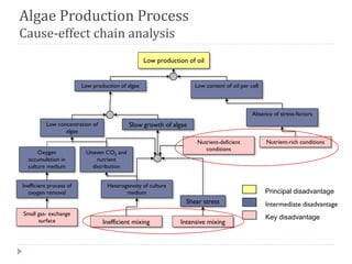 Algae Production Process
Cause-effect chain analysis
Low production of algae
Slow growth of algaeLow concentration of
algae
Oxygen
accumulation in
culture medium
Inefficient process of
oxygen removal
Intensive mixing
Heterogeneity of culture
medium
Shear stress
Small gas- exchange
surface
Uneven CO2 and
nutrient
distribution
Inefficient mixing
Low production of oil
Low content of oil per cell
Absence of stress-factors
Nutrient-rich conditionsNutrient-deficient
conditions
Principal disadvantage
Intermediate disadvantage
Key disadvantage
Express G3:ID Analysis
 