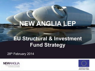 NEW ANGLIA LEP
EU Structural & Investment
Fund Strategy
28th February 2014
 