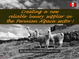 Creating a new
reliable luxury supplier in
the Peruvian Alpaca sector !
By Swiss Corpoarte Advisors SAC
February 2014
 