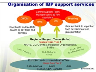 Central Support Team:
Managers plus ad hoc
specialists
Promotion and commercialisation Team
Users from Tier 2
Latin America Africa Asia
(Europe, USA, Canada)
DB/DM
BMS CB
Breeding
Coordinate and facilitate
access to IBP tools and
services
User feedback to impact on
BMS development and
implementation
Organisation of IBP support services
 