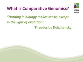 Comparative Genomics and Visualisation - Part 1 | PDF