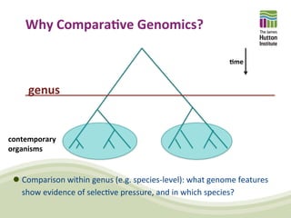 Comparative Genomics and Visualisation - Part 1 | PDF