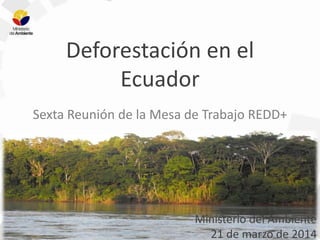 Deforestación en el
Ecuador
Sexta Reunión de la Mesa de Trabajo REDD+
Ministerio del Ambiente
21 de marzo de 2014
 