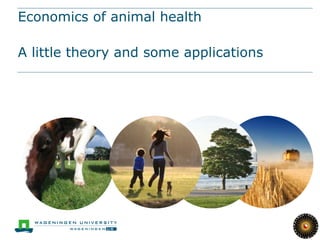 Economics of animal health
A little theory and some applications
 