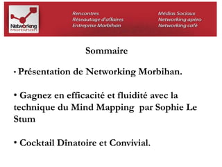 Sommaire 
• Présentation de Networking Morbihan. 
• Gagnez en efficacité et fluidité avec la 
technique du Mind Mapping par Sophie Le 
Stum 
• Cocktail Dînatoire et Convivial. 
 