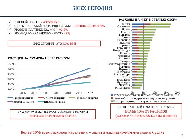 Годовой оборот тесла