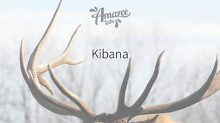 Kibana
 