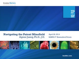 knobbe.com
Navigating the Patent Minefield
Agnes Juang,Ph.D., J.D.
April 26, 2014
SABPA 9th Biomedical Forum
 