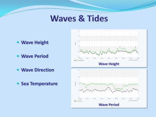 Wave Height 
Wave Period 
Wave Direction 
Sea Temperature 
Wave Height 
Wave Period  