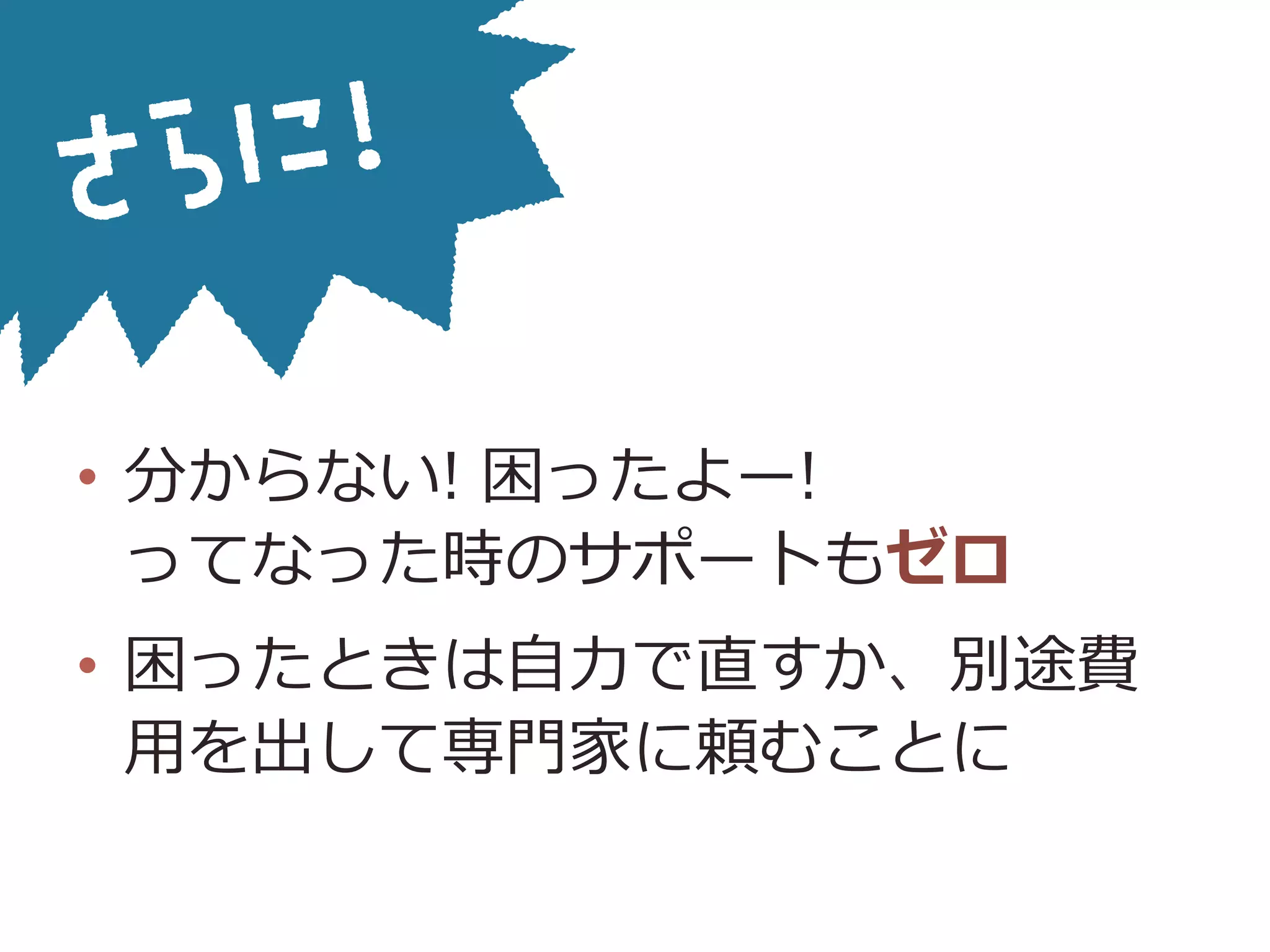 •  分からない! 困ったよー!
ってなった時のサポートもゼロ
•  困ったときは⾃自⼒力力で直すか、別途費
⽤用を出して専⾨門家に頼むことに
 