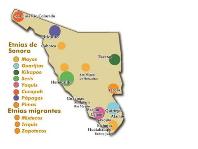 Salud pueblos indígenas de Sonora Foro CDI 2014