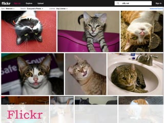 Flickr
 