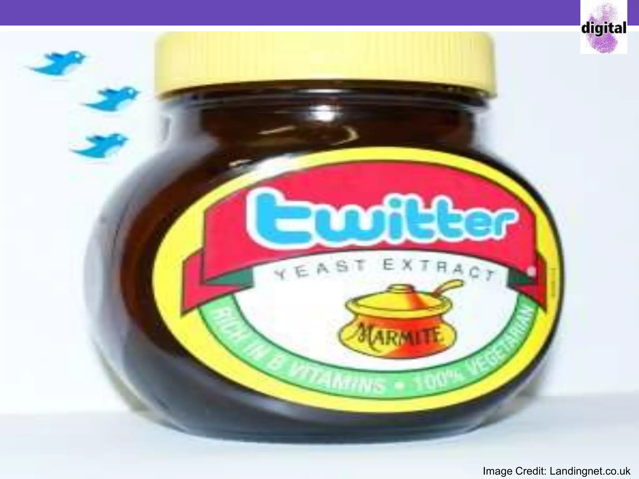 Image Credit: Landingnet.co.uk
 