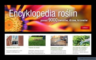 Źródło: www.leroymerlin.pl
 