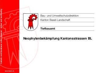 www.tba.bl.ch
VerkehrundGewässersollenfliessen-sicherundnachhaltig
Neophytenbekämpfung Kantonsstrassen BL
 