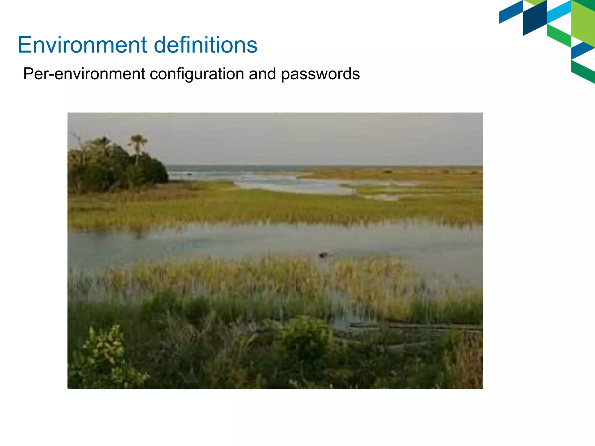 Environment definitions
Per-environment configuration and passwords
 