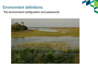 Environment definitions
Per-environment configuration and passwords
 