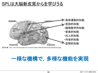 CONFIDENTIAL MATERIAL / RESTRICTED ACCESSCONFIDENTIAL MATERIAL / RESTRICTED ACCESS
SPLは大脳新皮質からを学びうる
一様な機構で，多様な機能を実現
全脳アーキテクチャ勉強会（第４回)
16
・身体運動的知能
・言語的知能
・論理数学的知能
・音楽的知能
・対人的知能
・内省的知能
・空間的知能
図の出典： http://bio1152.nicerweb.com/Locked/media/ch48/48_27HumanCerebralCortex.jpg
 