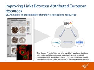 Improving Links Between distributed European
resources
ELIXIR pilot: Interoperability of protein expressions resources
The Human Protein Atlas portal is a publicly available database
with millions of high-resolution images showing the spatial
distribution of proteins in 46 different normal human tissues and
20 different cancer types, as well as 47 different human cell lines.
 
