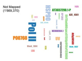 Not Mapped
(1’669,370)
 
